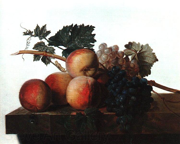 John Johnston Still Life with Fruit fhf Spain oil painting art